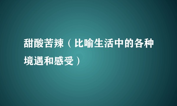 甜酸苦辣（比喻生活中的各种境遇和感受）