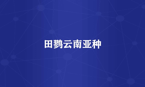 田鹨云南亚种
