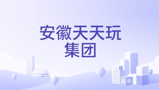 安徽天天玩集团