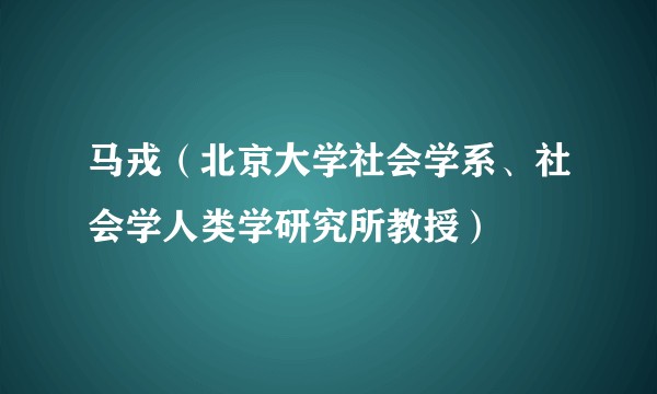马戎(北京大学社会学系、社会学人类学研究所教授)