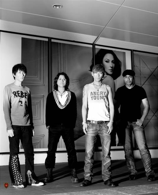 等你归来（2001年孙皓执导的禁毒题材电视剧）