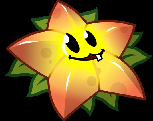 星星果