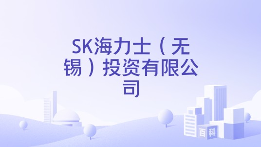SK海力士(无锡)投资有限公司