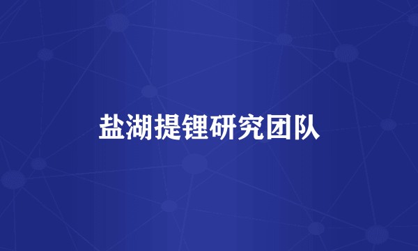 盐湖提锂研究团队