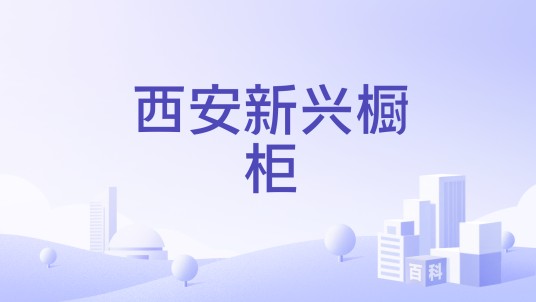 西安新兴橱柜