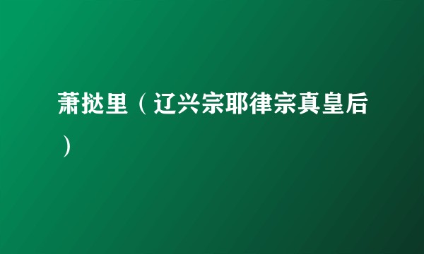 萧挞里（辽兴宗耶律宗真皇后）