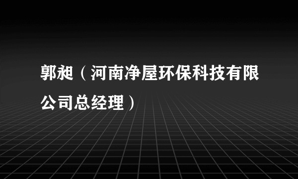 郭昶（河南净屋环保科技有限公司总经理）