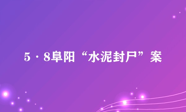 5·8阜阳“水泥封尸”案