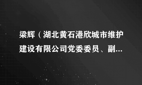 梁辉(湖北黄石港欣城市维护建设有限公司党委委员、副总经理)