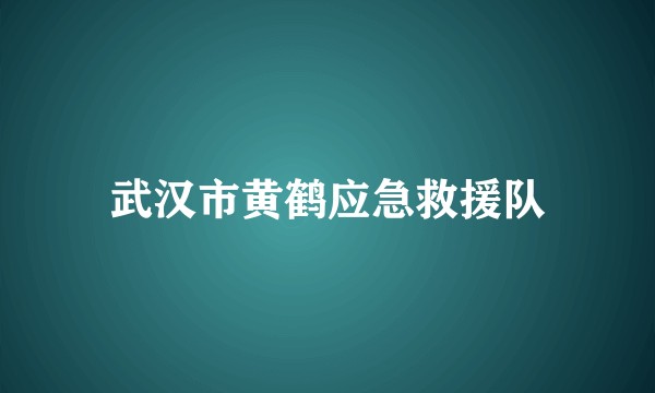 武汉市黄鹤应急救援队
