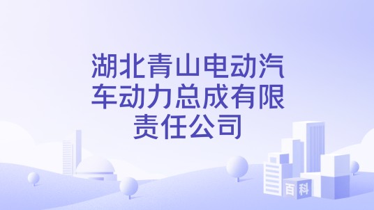 湖北青山电动汽车动力总成有限责任公司