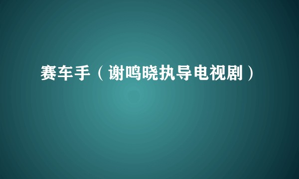 赛车手（谢鸣晓执导电视剧）