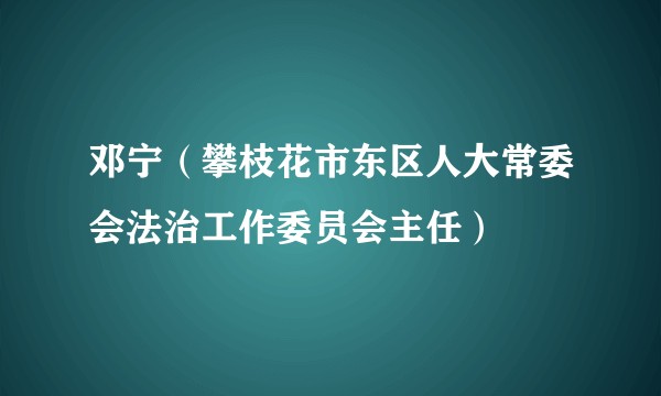 邓宁（攀枝花市东区人大常委会法治工作委员会主任）