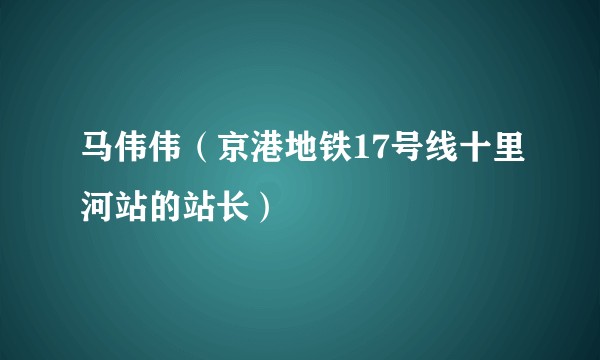 马伟伟（京港地铁17号线十里河站的站长）