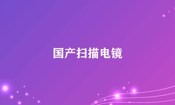 国产扫描电镜