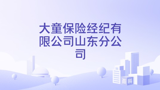 大童保险经纪有限公司山东分公司