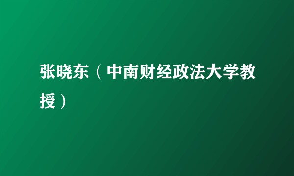张晓东（中南财经政法大学教授）