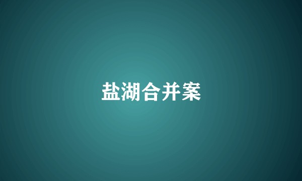 盐湖合并案