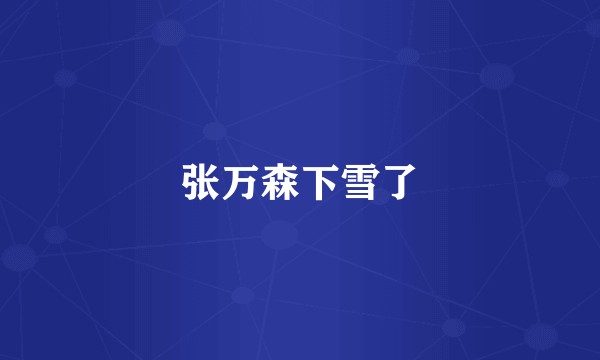 张万森下雪了