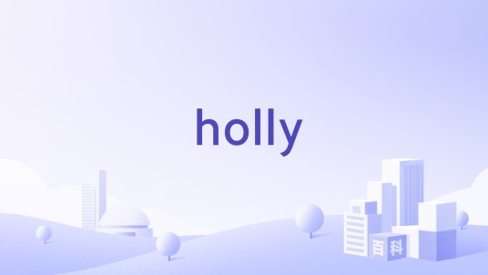 holly（时尚品牌）