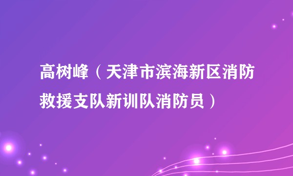 高树峰（天津市滨海新区消防救援支队新训队消防员）