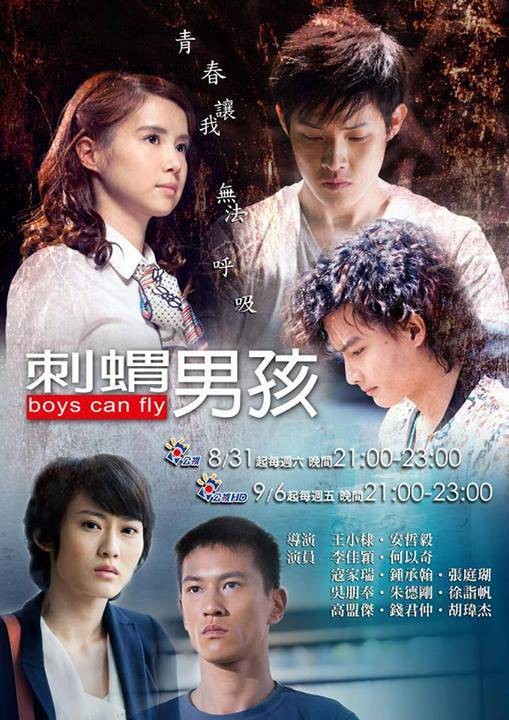 刺猬男孩（2013年王小棣、安哲毅执导的电视剧）