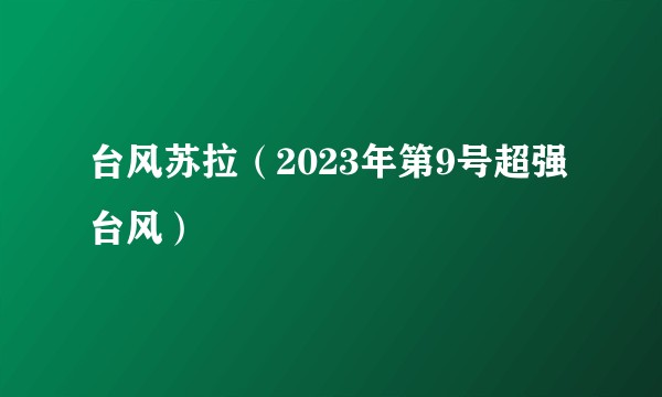 台风苏拉(2023年第9号超强台风)