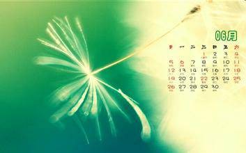 6月（日历中的第6个月）