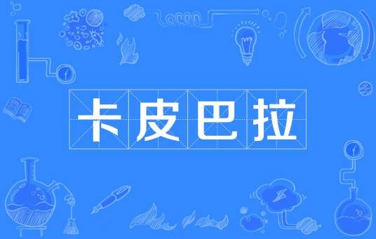卡皮巴拉（网络流行语）