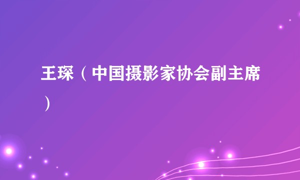 王琛（中国摄影家协会副主席）