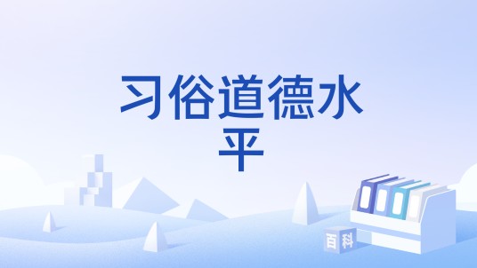 习俗道德水平