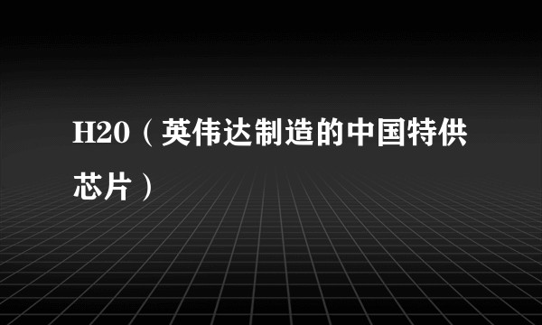 H20（英伟达制造的中国特供芯片）