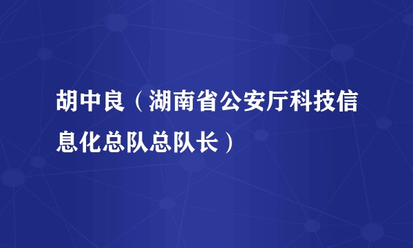胡中良（湖南省公安厅科技信息化总队总队长）