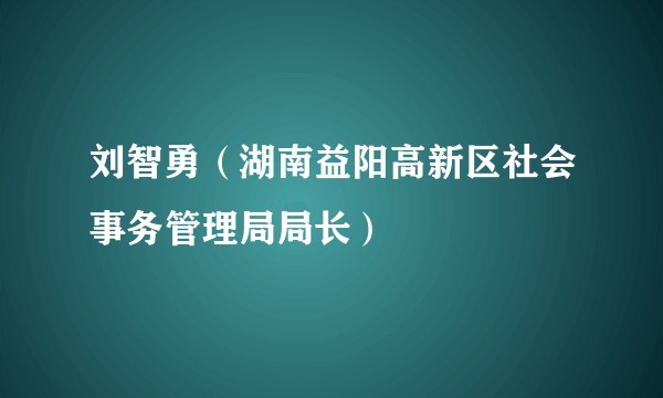 刘智勇（湖南益阳高新区社会事务管理局局长）