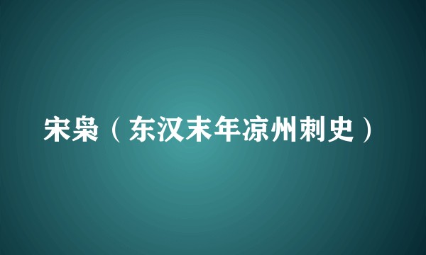 宋枭（东汉末年凉州刺史）