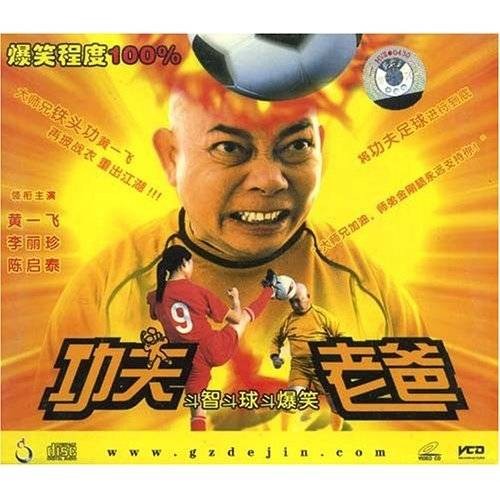 功夫老爸(2004年刘俊辉执导的喜剧动作电影)