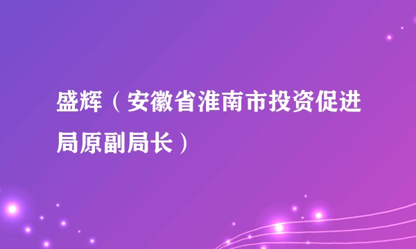 盛辉（安徽省淮南市投资促进局原副局长）
