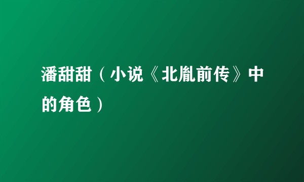 潘甜甜（小说《北胤前传》中的角色）