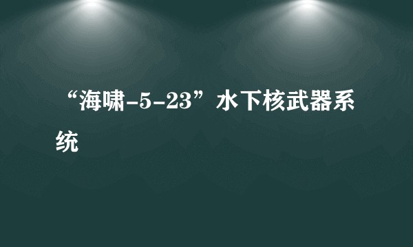 “海啸-5-23”水下核武器系统