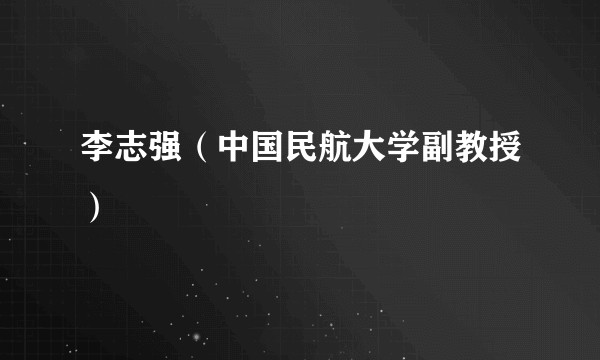 李志强(中国民航大学副教授)