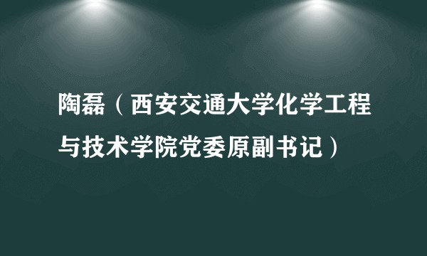 陶磊（西安交通大学化学工程与技术学院党委原副书记）