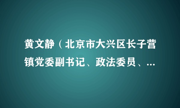 黄文静（北京市大兴区长子营镇党委副书记、政法委员、三级调研员）