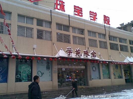 中国地质大学（武汉）珠宝学院