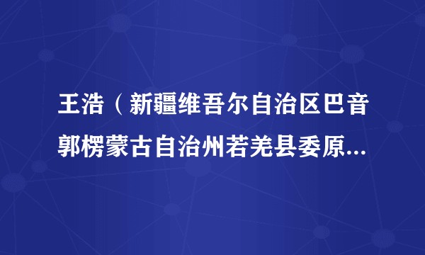 王浩(新疆维吾尔自治区巴音郭楞蒙古自治州若羌县委原副书记、政法委原书记)