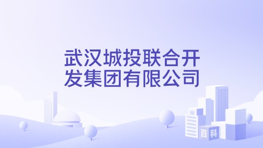 武汉城投联合开发集团有限公司