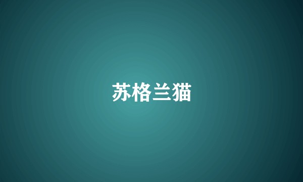 苏格兰猫