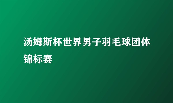 汤姆斯杯世界男子羽毛球团体锦标赛