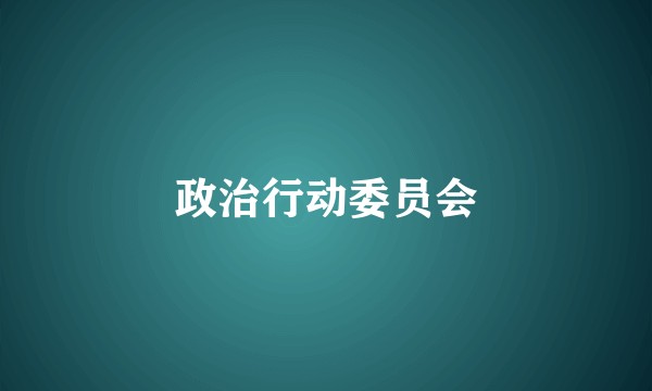 政治行动委员会