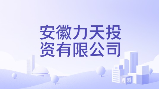 安徽力天投资有限公司