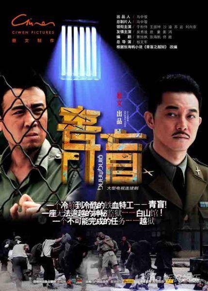 青盲（2012年杨文军执导的悬疑心理谍战剧）